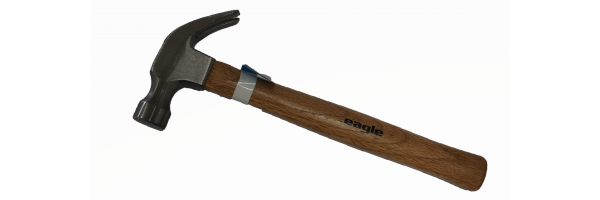 eagle_450